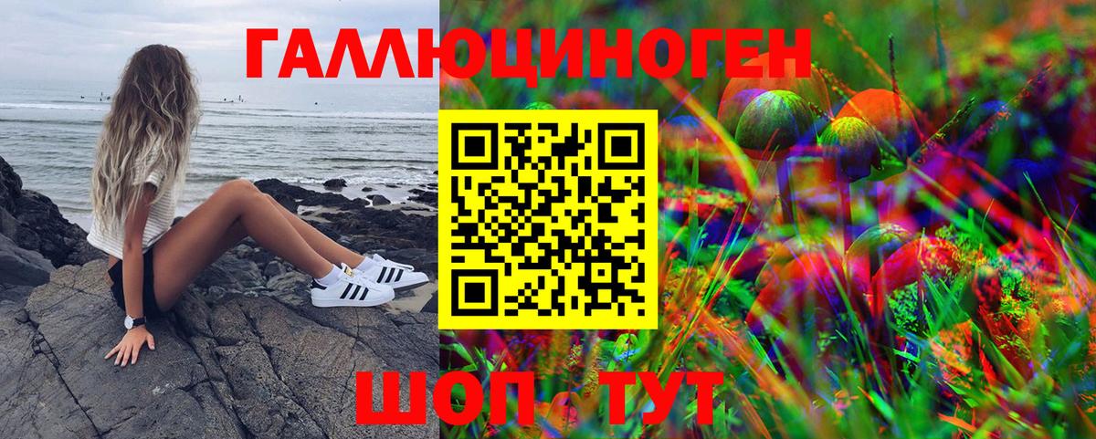Псилоцибиновые грибы мицелий  Псилоцибиновые грибы GOLDEN TEACHER  Крымск  Вход с VPN 